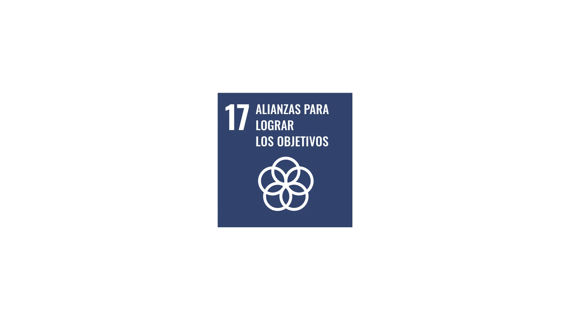 ODS 17: Alianzas para lograr los objetivos