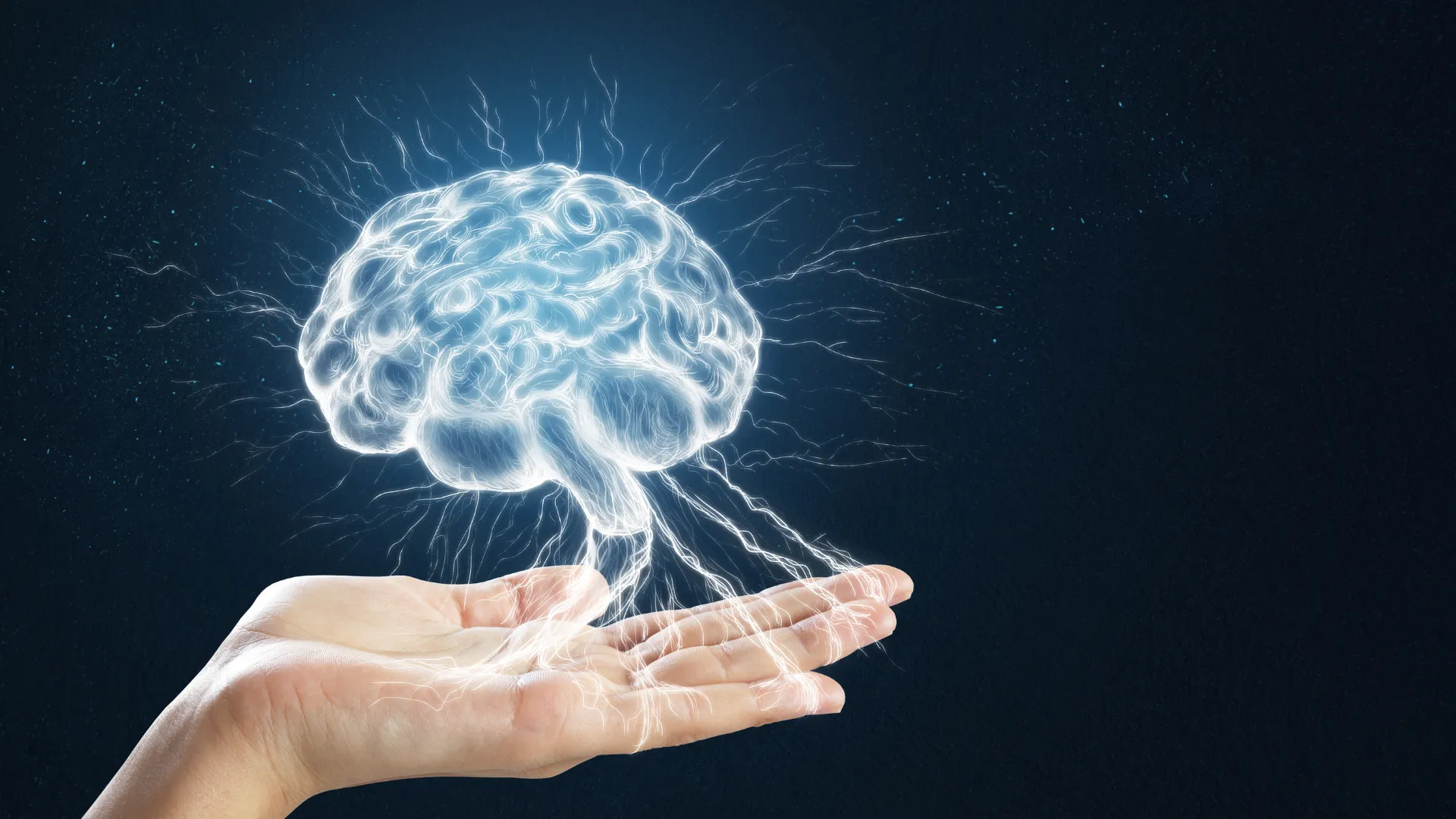 neuropsicología cerebro mano