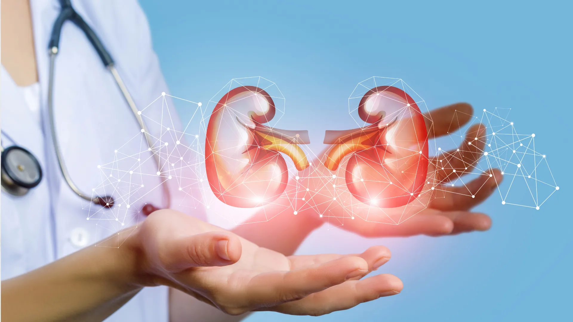 Profesional sanitario con bata blanca y estetoscopio sostiene una representación digital de dos riñones humanos, rodeados de líneas y puntos que simbolizan conexión y tecnología, sobre fondo azul