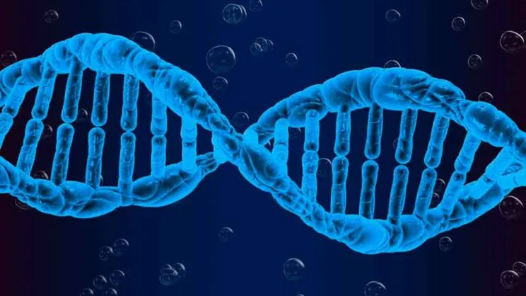 bioetica-cabecera-web