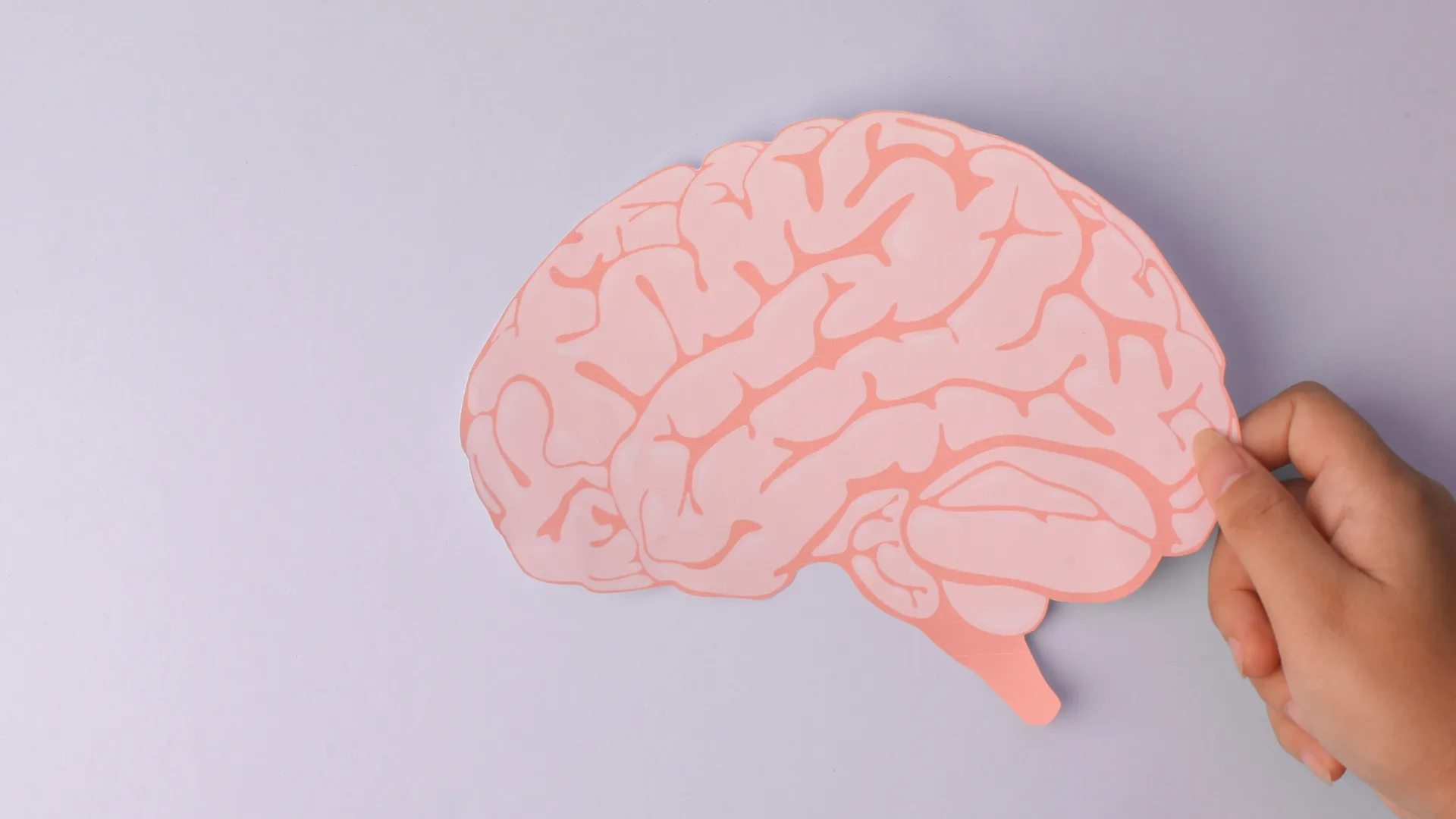 cerebro