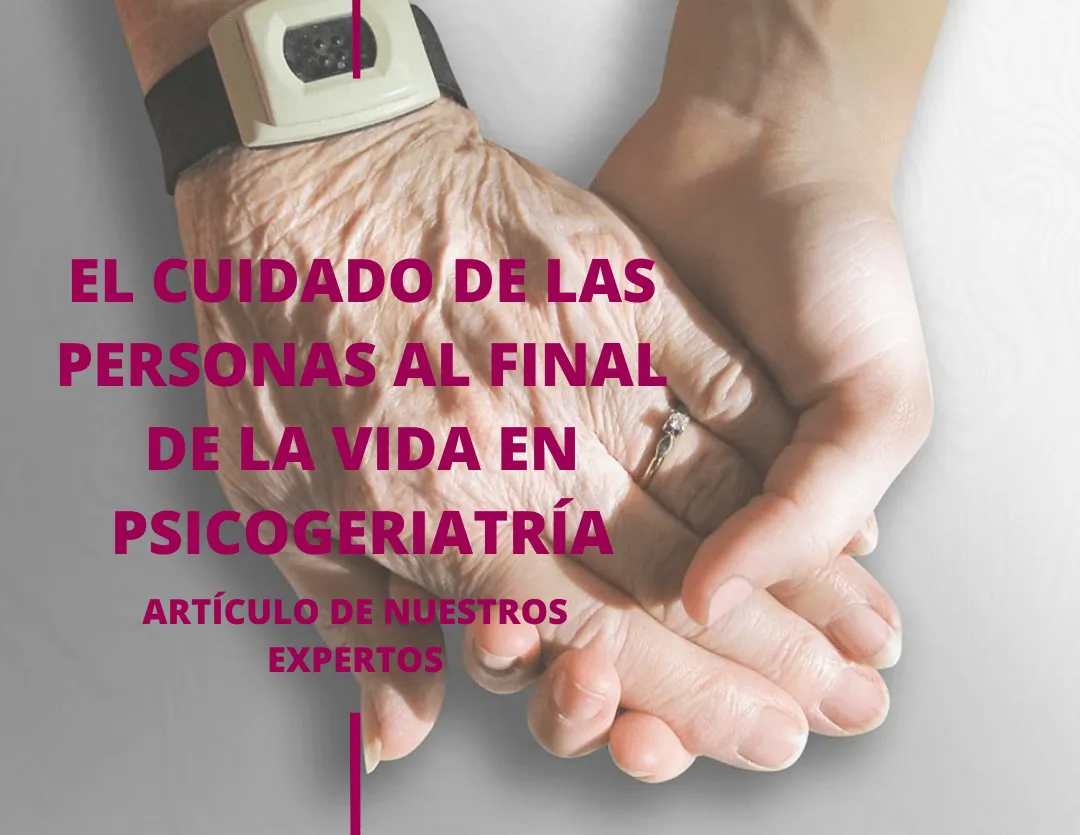 Artículo de Expertos
