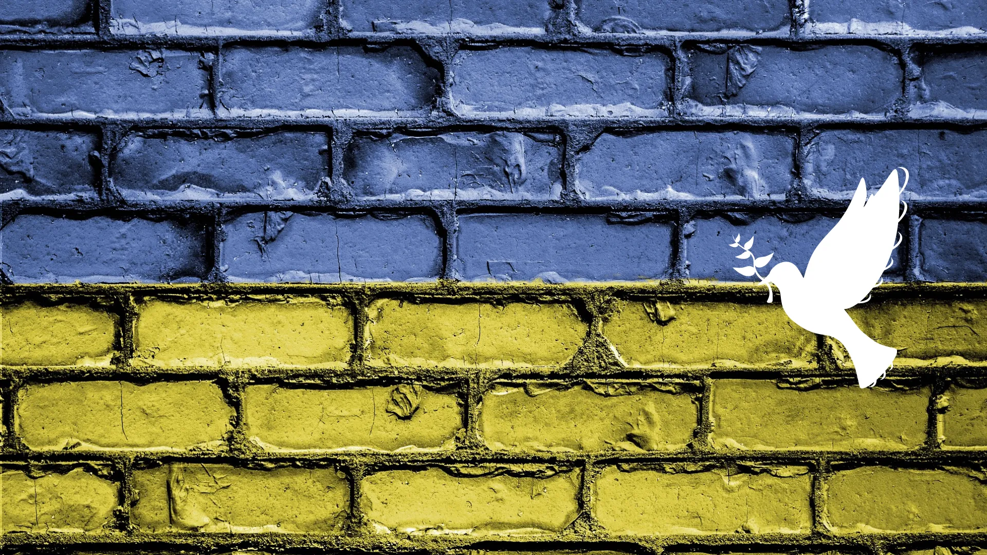 Campaña de solidaridad con Ucrania
