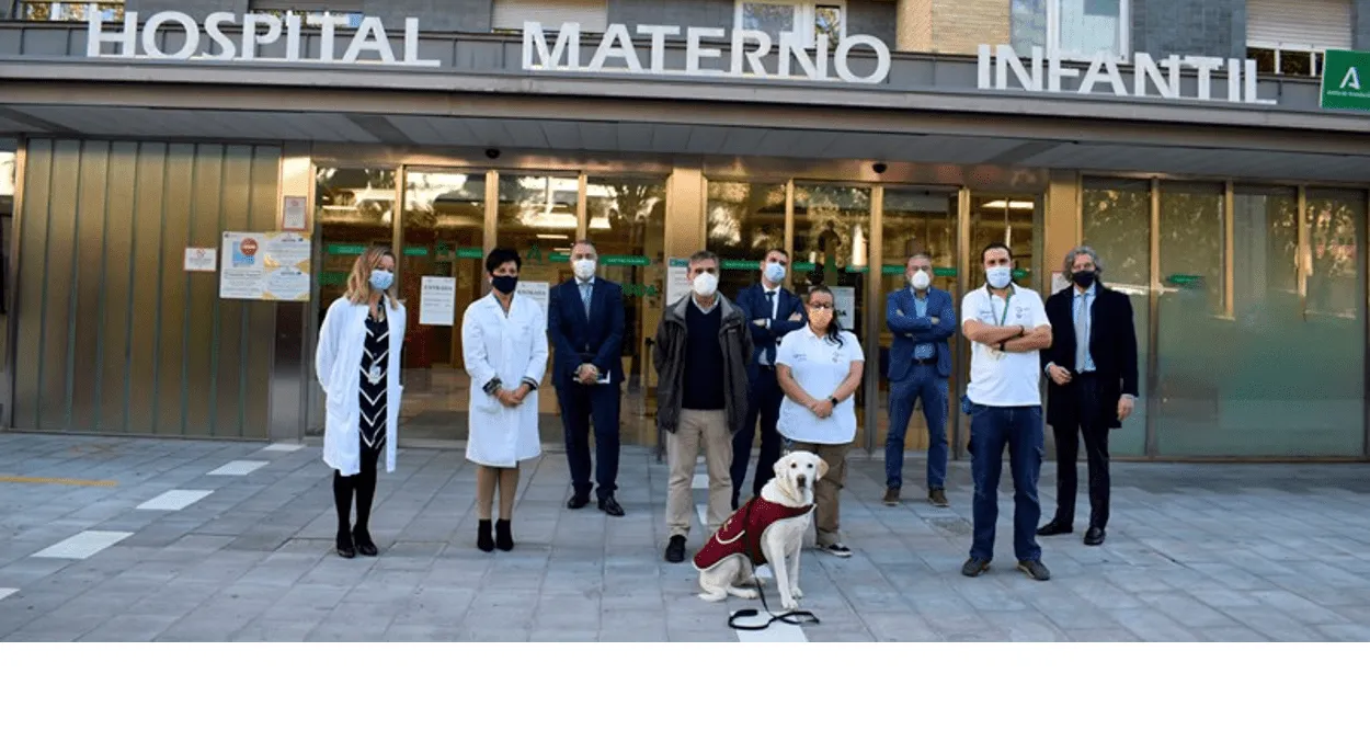 Terapia Canina