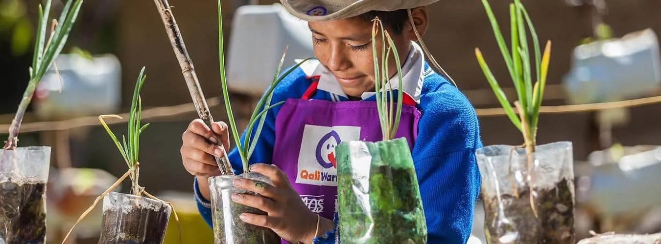 Día Mundial del Medio Ambiente