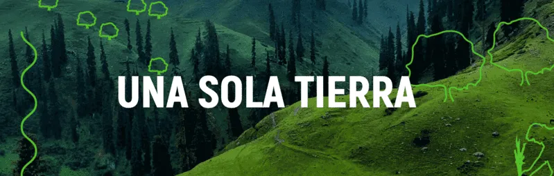 Día Mundial del Medio Ambiente