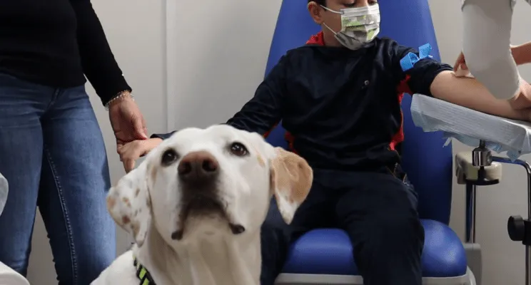 211130-Terapia-canina2-744x400.png